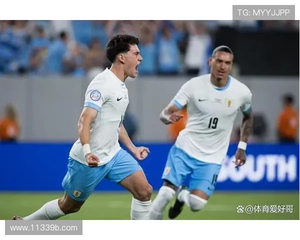 巴西秘鲁直播：南美双雄激战，绿茵场上的巅峰对决